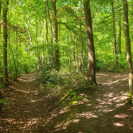 In With Garden Holiday home Ferrieres