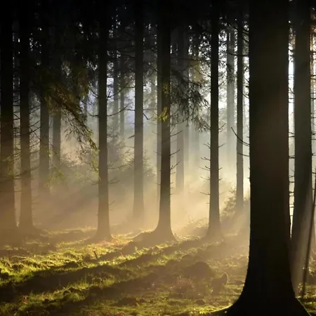 In The Heart Of Nature *
