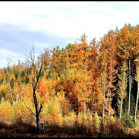In With Garden Holiday home