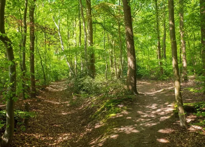 In With Garden Holiday home Ferrieres