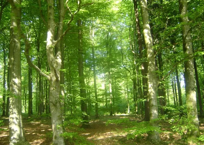 Holiday home In With Garden *