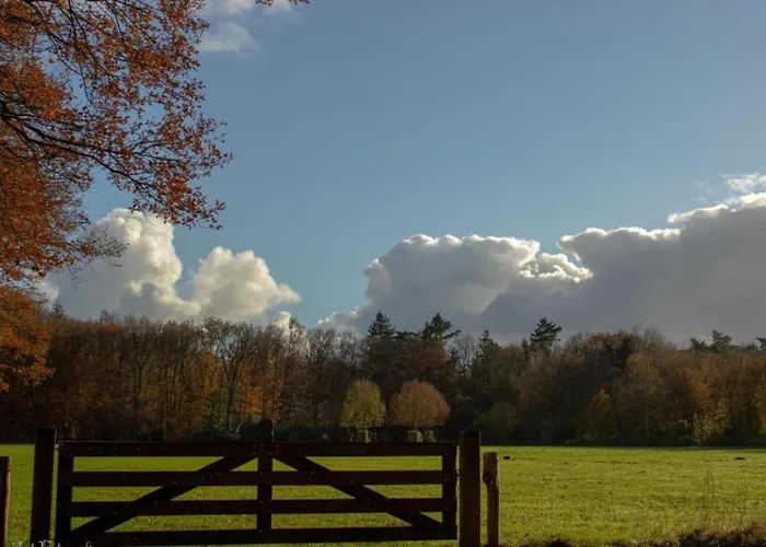 In With Garden Holiday home Ferrieres