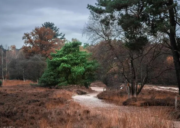 Holiday home In With Garden Ferrieres