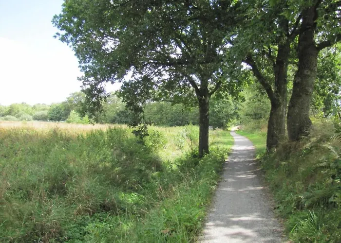 In With Garden Ferrieres